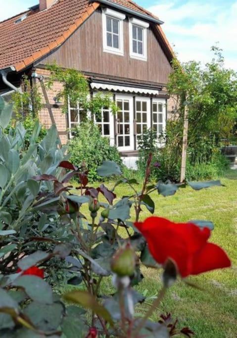 Ferienhaus Gartower See Exterior foto