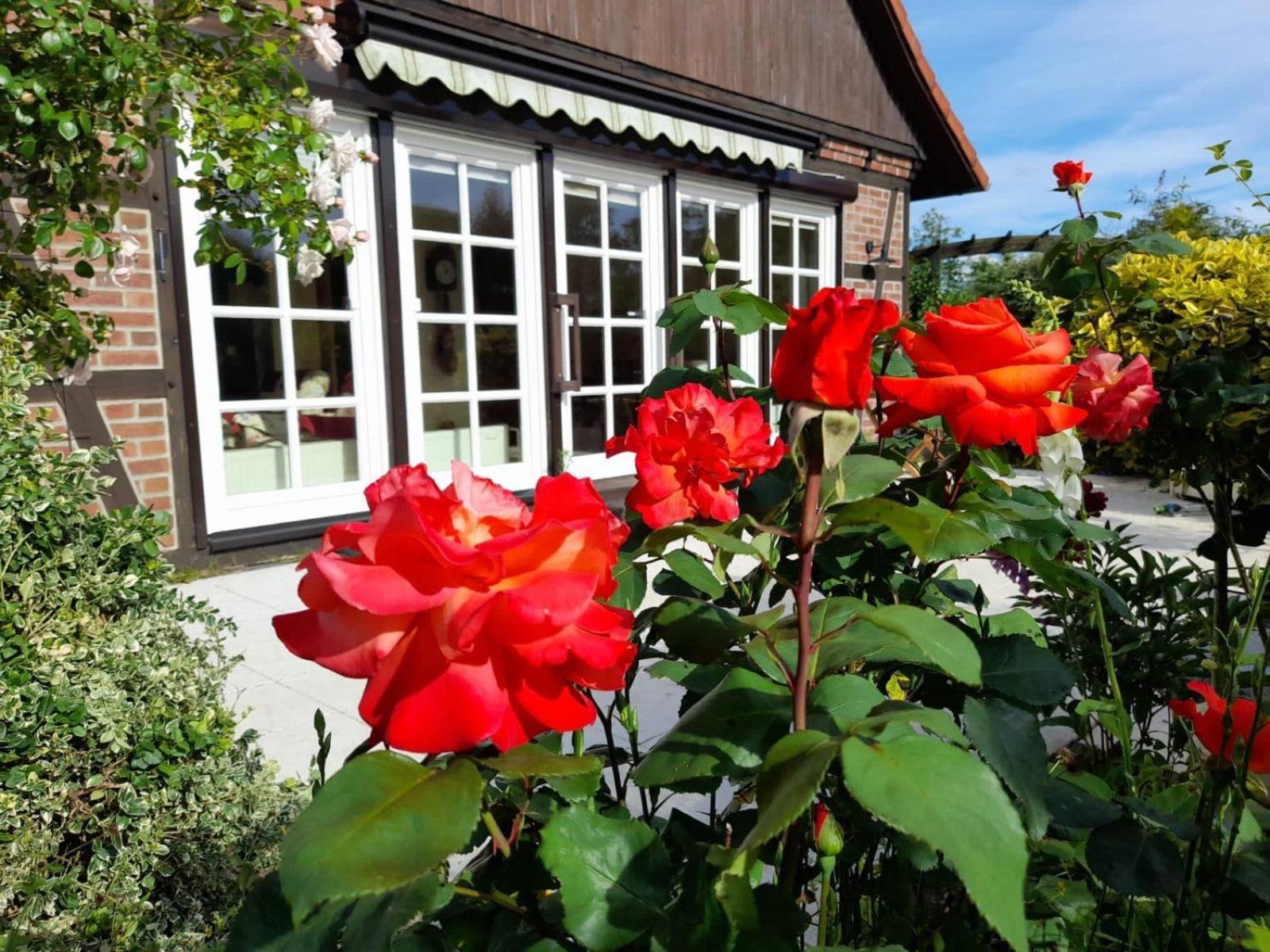 Ferienhaus Gartower See Exterior foto